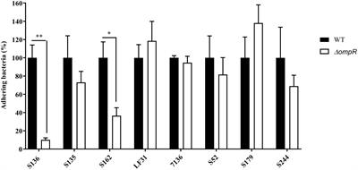 The Role of OmpR in Bile Tolerance and Pathogenesis of Adherent-Invasive Escherichia coli